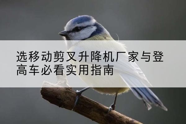 澧县电动升降机厂家-选移动剪叉升降机厂家与登高车必看实用指南