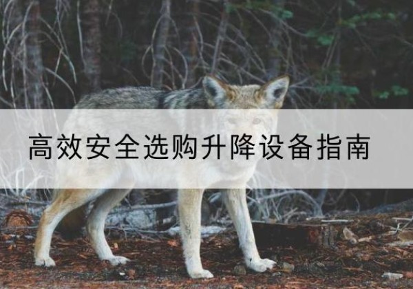 澧县升降货梯厂家推荐-*安全选购升降设备指南