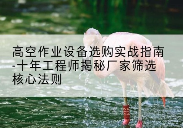 澧县剪叉式升降机厂家-高空作业设备选购实战指南-十年工程师揭秘厂家筛选核心法则